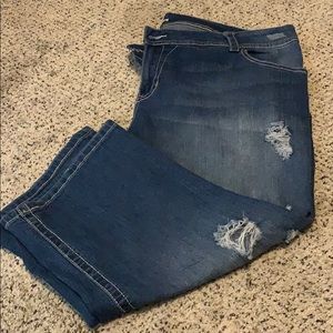 Lane Bryant Denim Capri